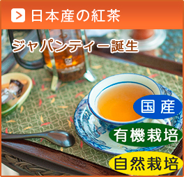 日本産の紅茶